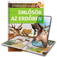 Emlősök az erdőben