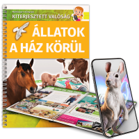 Állatok a ház körül Állatok a ház körül