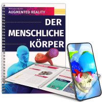 Der menschliche Körper Der menschliche Körper