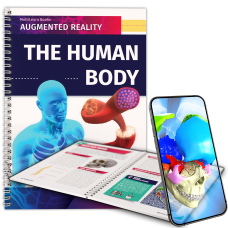 The Human Body