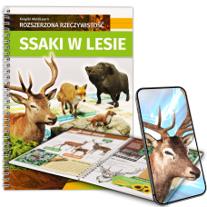 Ssaki w lesie