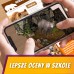 Ssaki w lesie