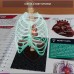 The Human Body