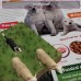 Tiere rund ums Haus