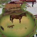 Tiere rund ums Haus
