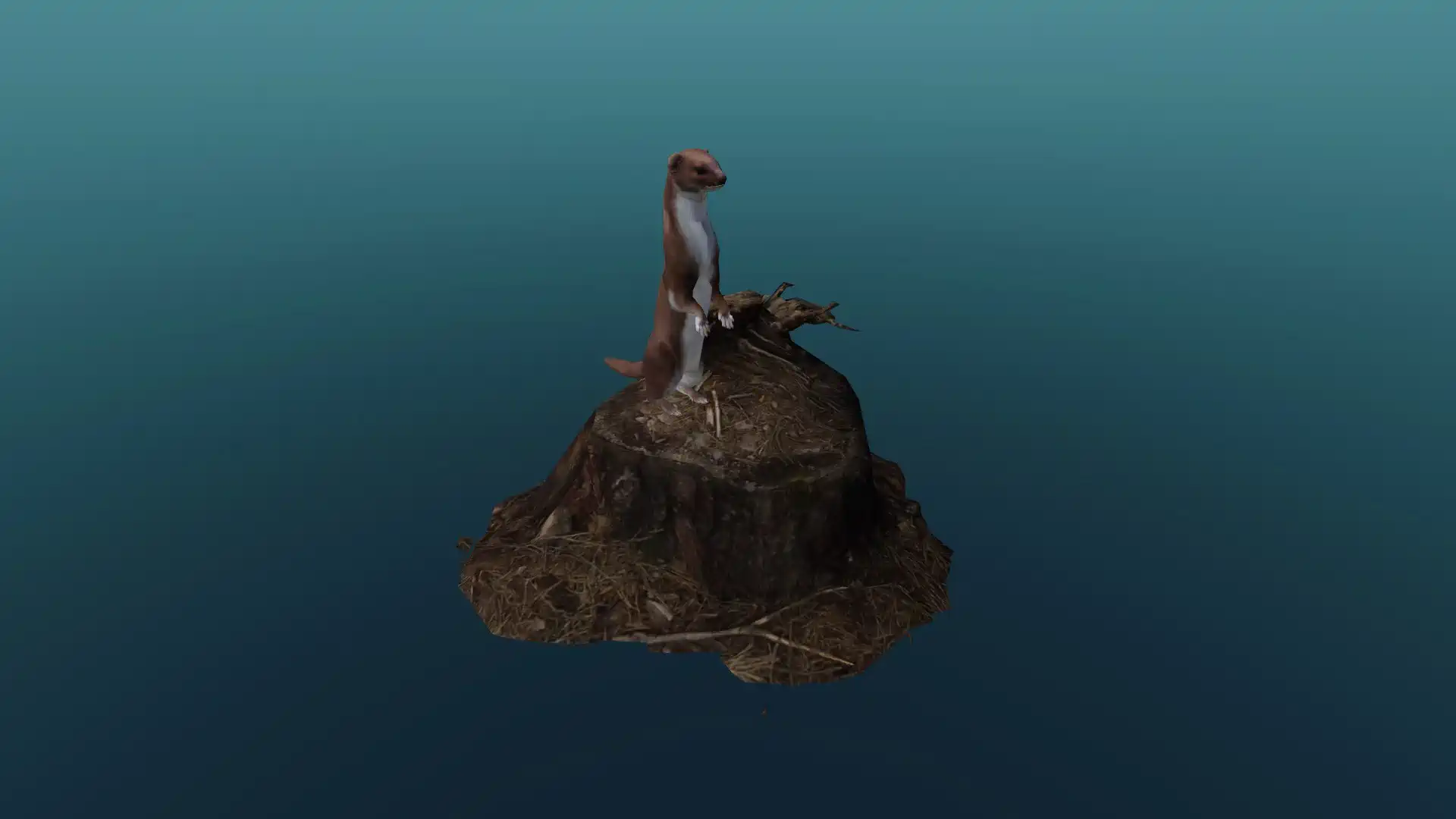 The weasel
