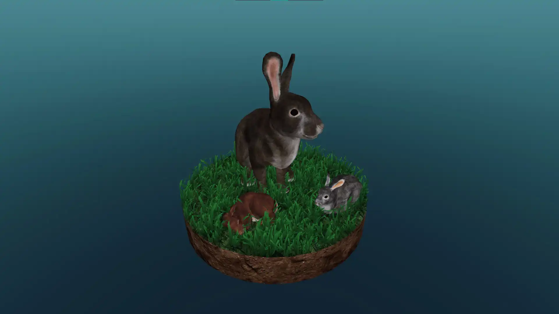 The European rabbit