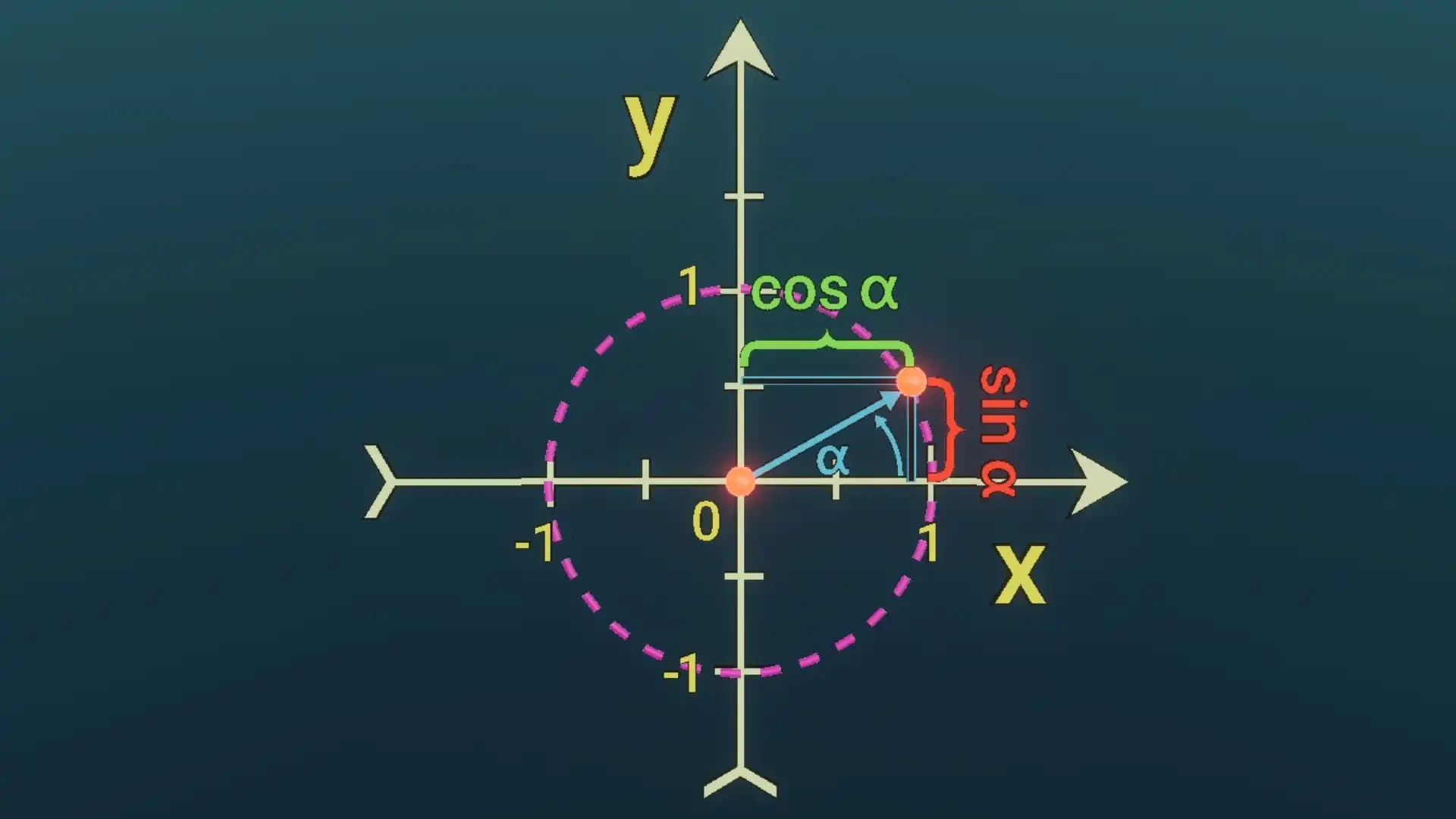 Representation of the sine and cosine trigonometric functions