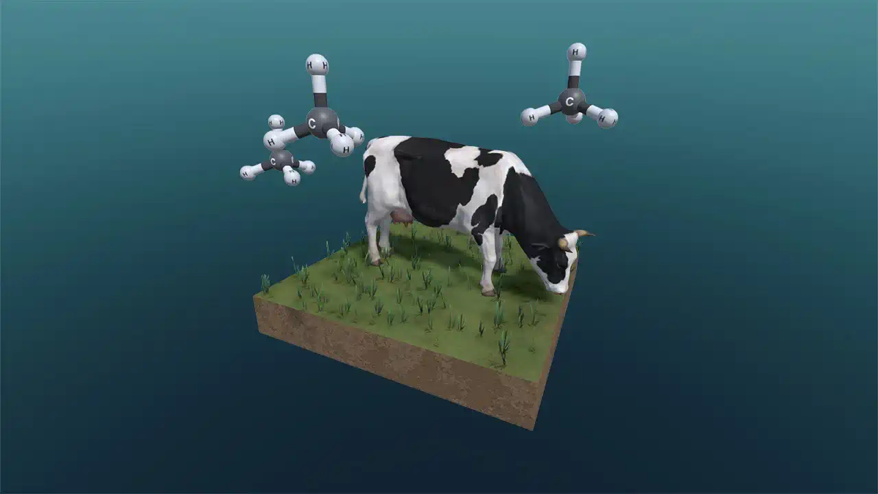 Metan