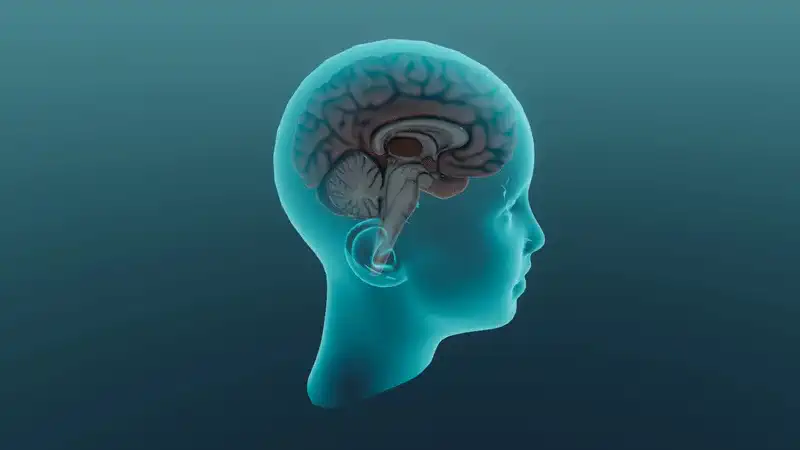 Regulacja hormonalna