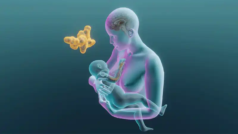 Hormonalne podstawy karmienia piersią