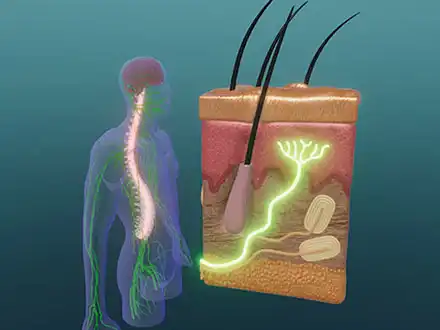 Sind deine Reflexe gut?