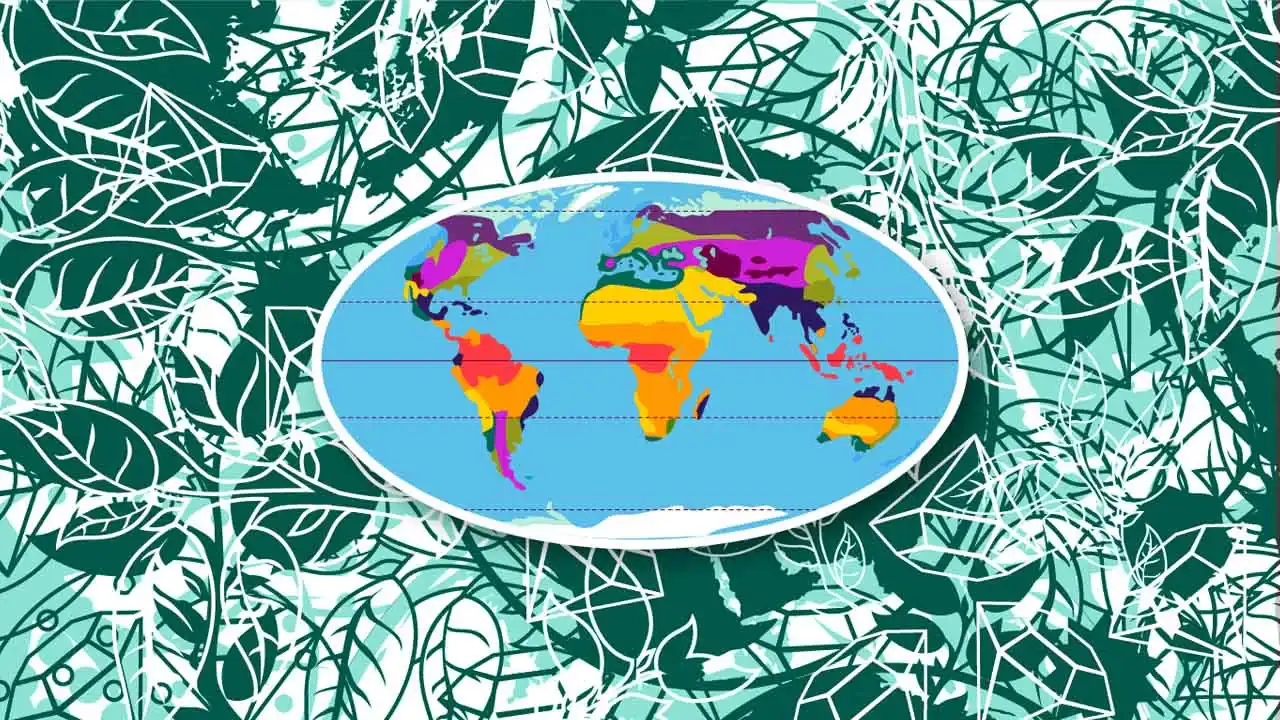 Geografische Zonierung 
