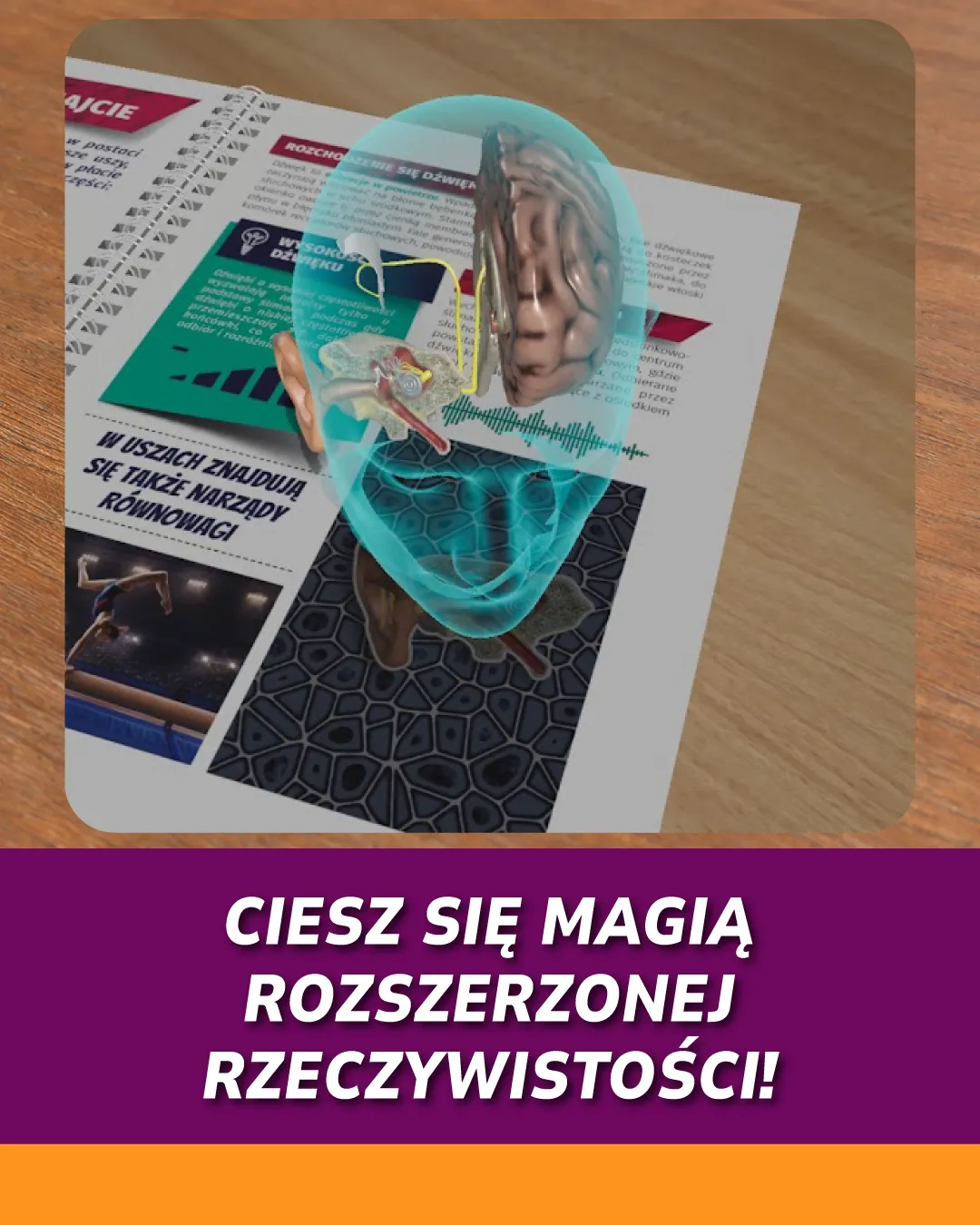 Ciesz się magią rozszerzonej rzeczywistości!